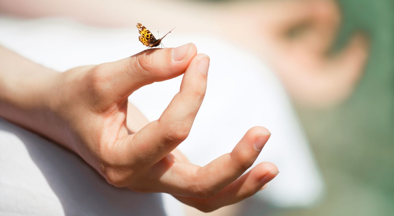 Meditierende Hände mit Schmetterling