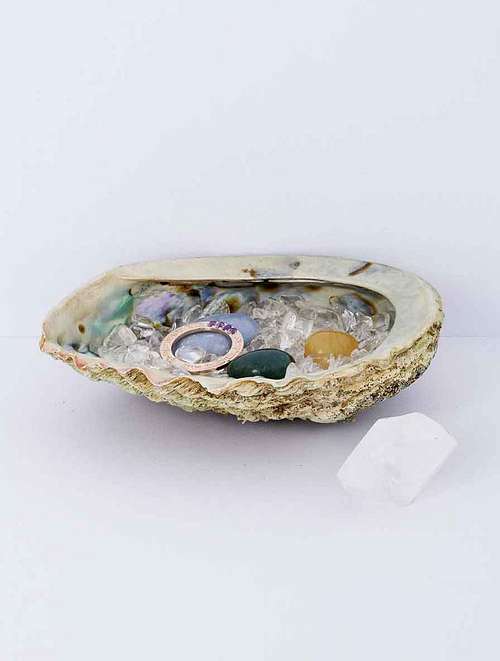 Abalone Muschel mit Kristallen