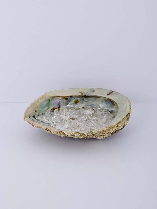 Abalone Muschel mit Kristallen