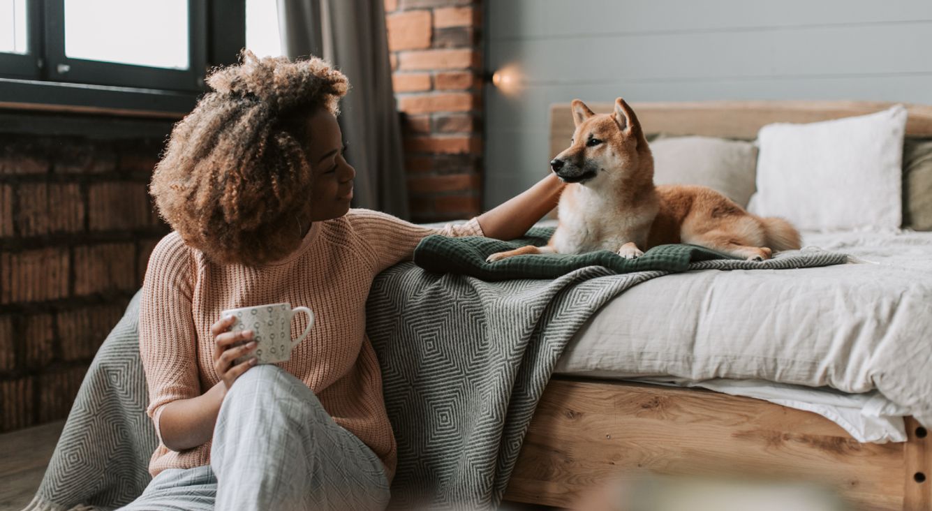 Frau streichelt Hund auf Bett