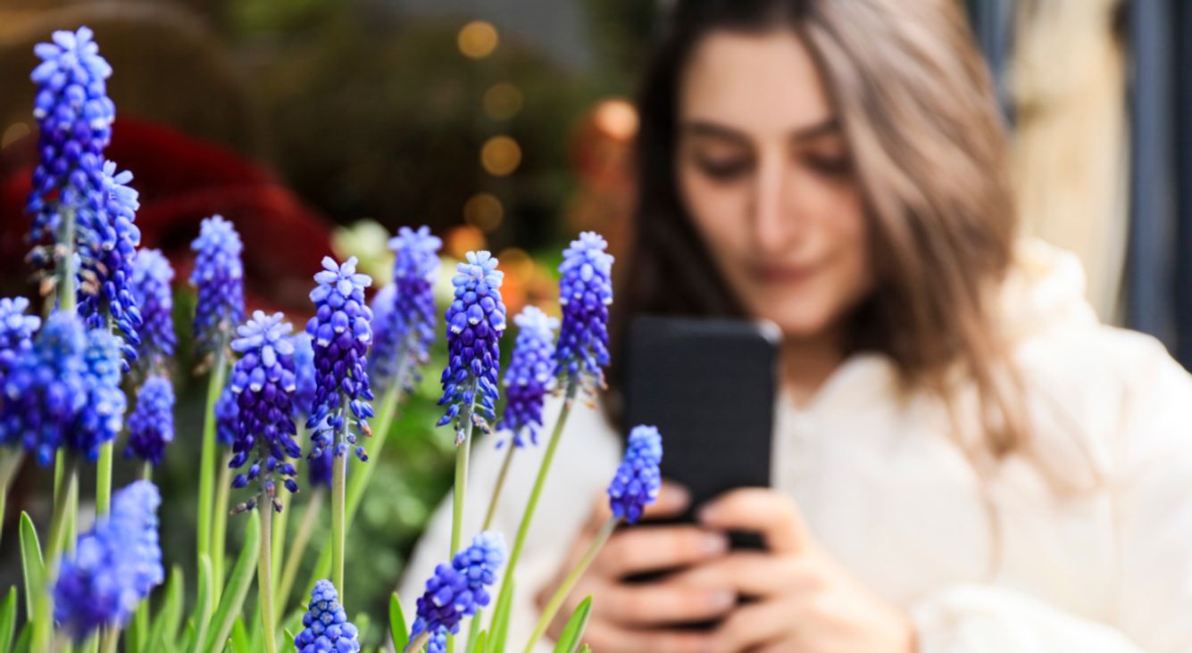 Frau fotografiert Blumen