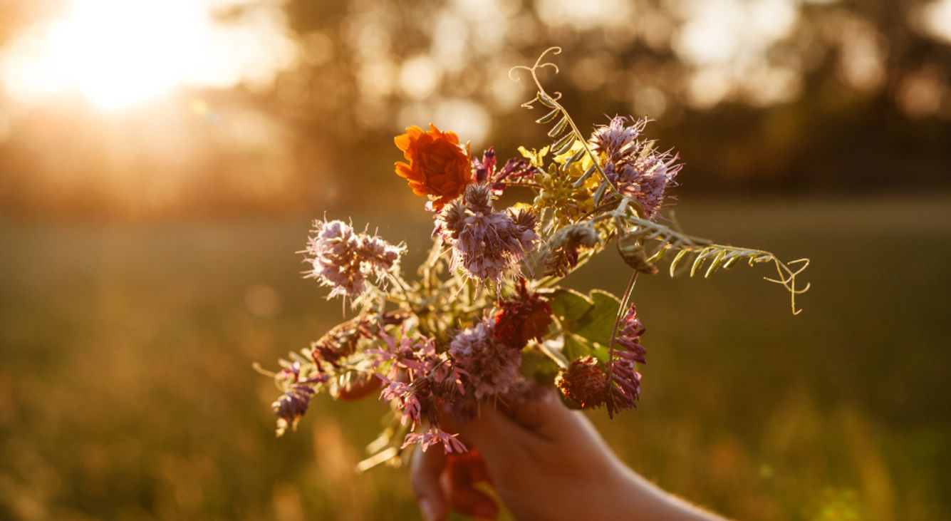 Hand mit einem Trockenblumenstrauß vor einem Sonnenuntergang