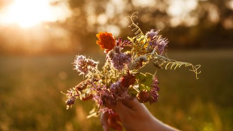 Hand mit einem Trockenblumenstrauß vor einem Sonnenuntergang - Foto: canva.com