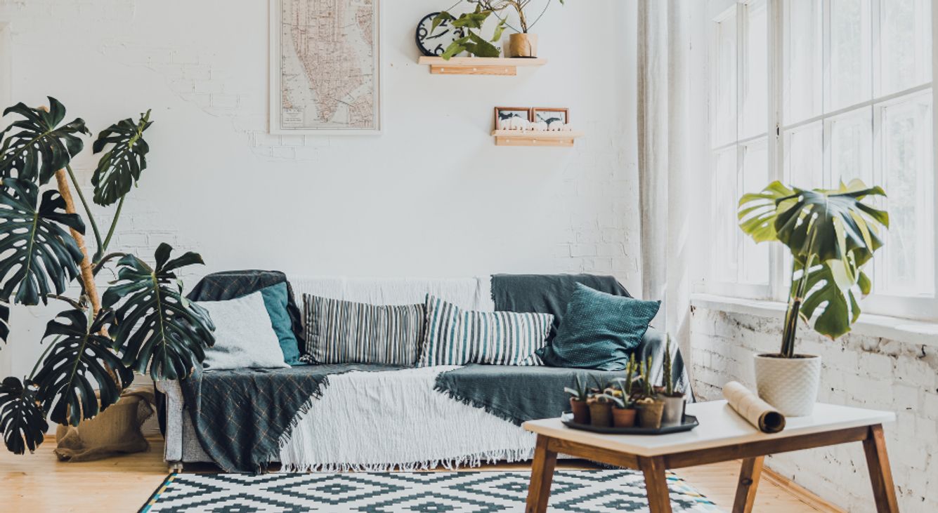 Sofa vor weißer Wand mit vielen Pflanzen und Tisch davor