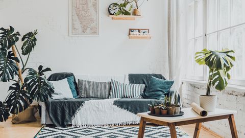 Sofa vor weißer Wand mit vielen Pflanzen und Tisch davor - Foto: canva