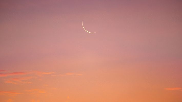 Ein Neumond am rosa erleuchteten Himmel - Foto: canva.com