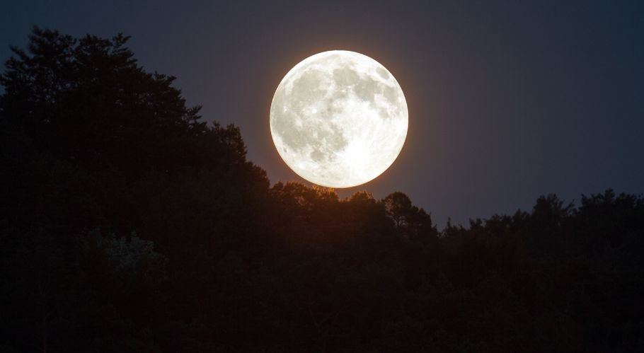 Heller Vollmond am schwarzen Nachthimmel