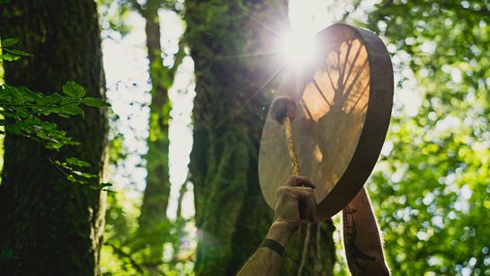 Ein Trommel im Schatten eines Waldes - Foto: canva.com