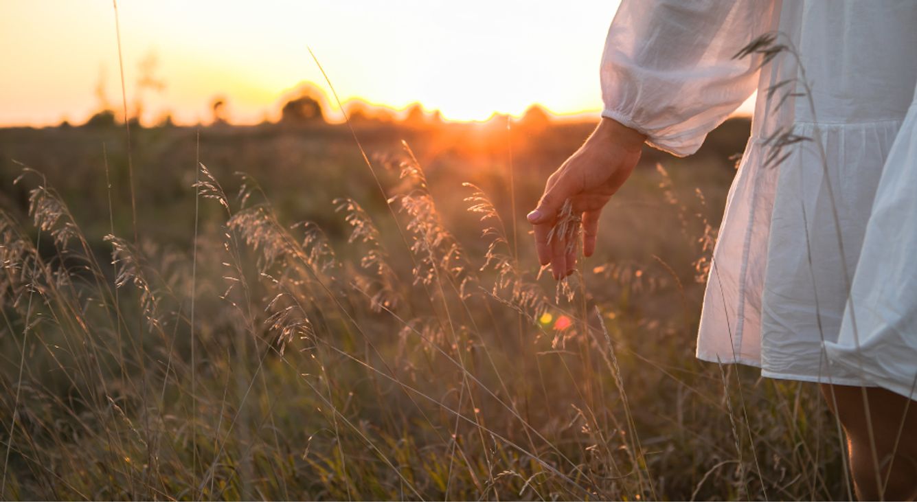 Frau im weißen Kleid läuft beim Sonnenuntergang durch das hohe Gras und berührt mit ihrer Hand die Grashalme.