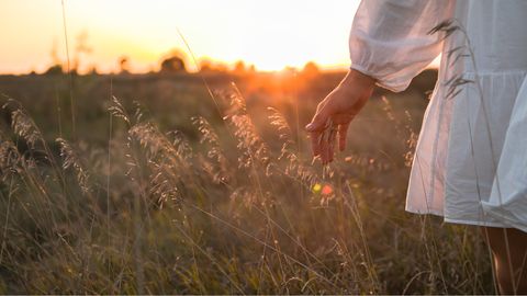 Frau im weißen Kleid läuft beim Sonnenuntergang durch das hohe Gras und berührt mit ihrer Hand die Grashalme. - Foto: canva.com