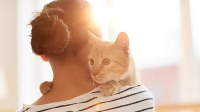 Frau mir Katze auf dem Arm im Gegenlicht - Foto: canva