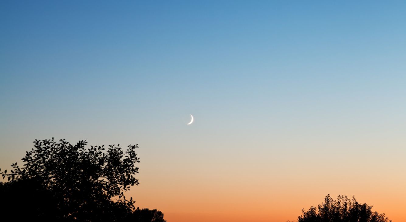 Neumond am klaren Himmel über Bäumen