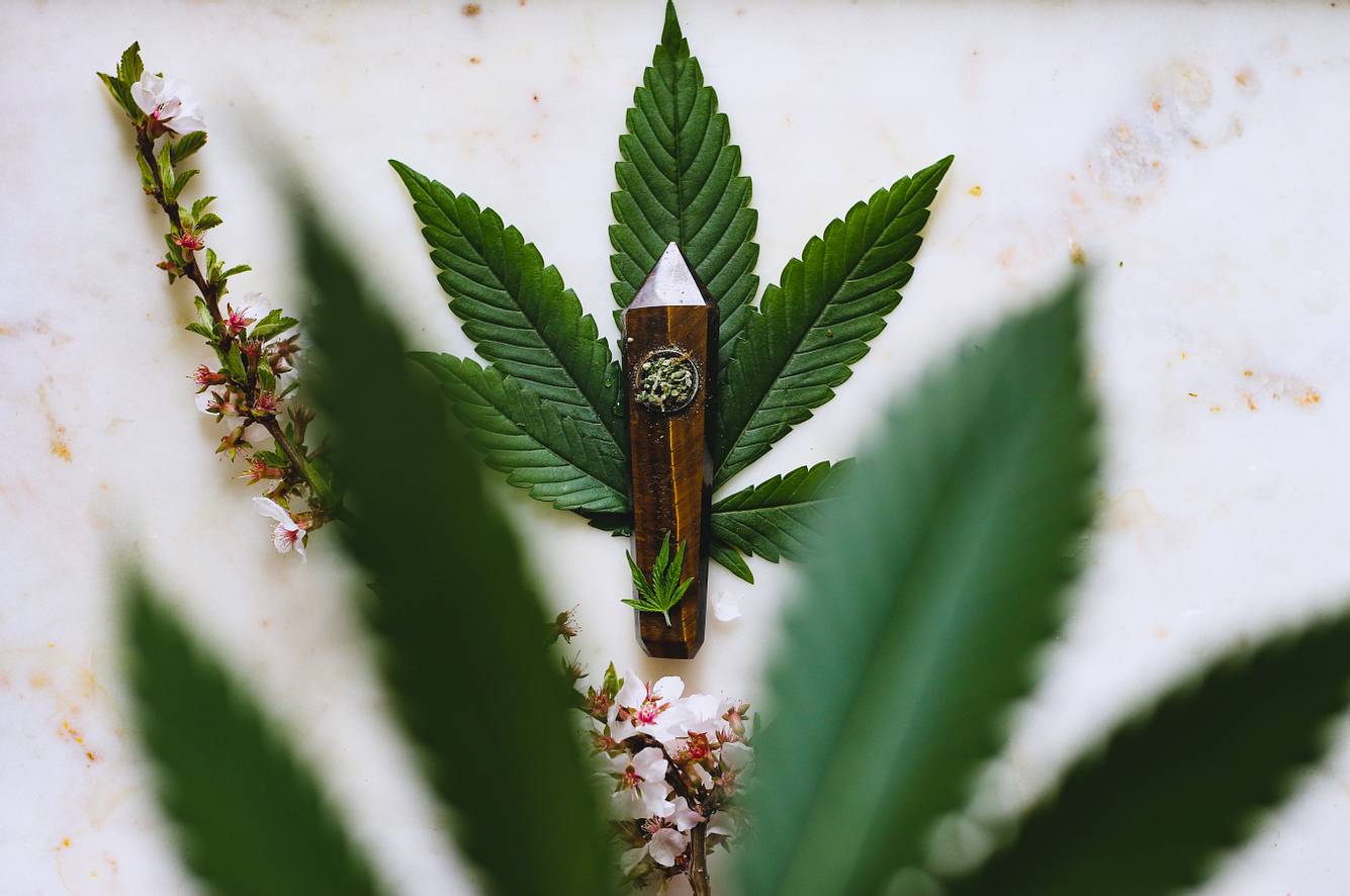 Cannabis: Die Heilkraft der Hanf-Pflanze