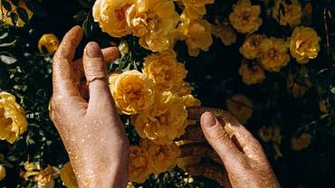 Die schönsten spirituellen Sprüche und Zitate über die Liebe  - Foto: Pexels