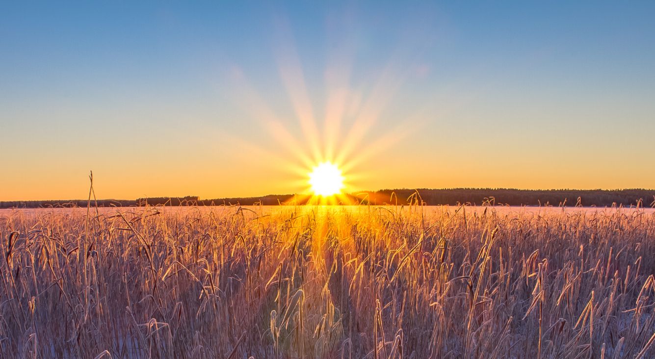 Sonnenaufgang über Feld