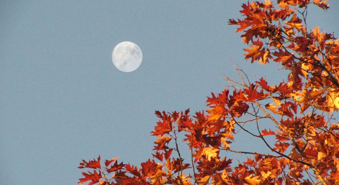 Herbstmond im September