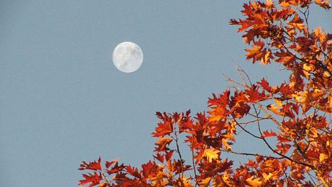 Herbstmond im September - Foto: canva.com