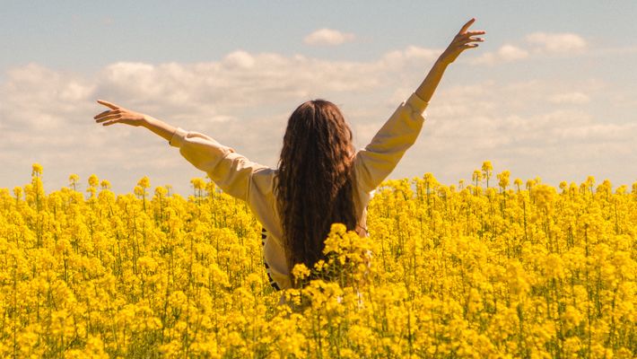 Person steht in blühendem Feld - Foto: canva.com