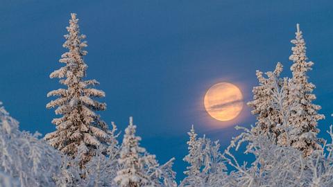 Julmod im Dezember - Foto: canva.com