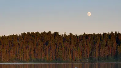 Ein See bei Mitsommer Vollmond - Foto: ssiltane / Getty Images 