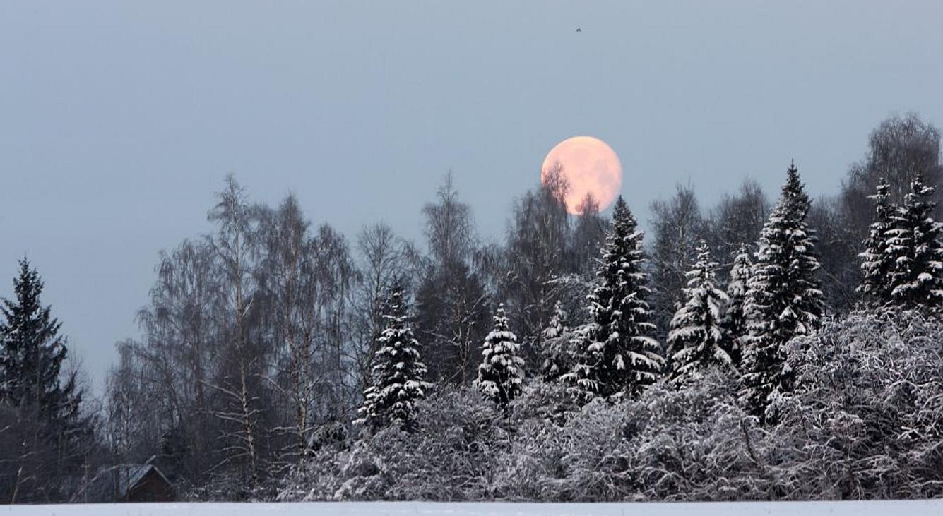 Vollmond über verschneitem Wald 