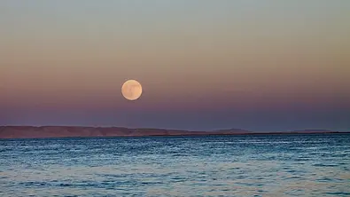 Vollmond über dem Wasser - Foto: PLATZHALTER