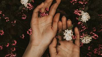Hände mit Blumen Berührung