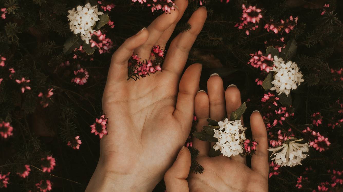 Hände mit Blumen Berührung