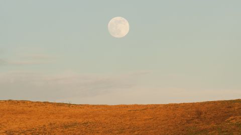 Vollmond am Himmel über einem rötlichen Feld - Foto: canva,com