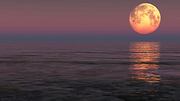 Vollmond 2024